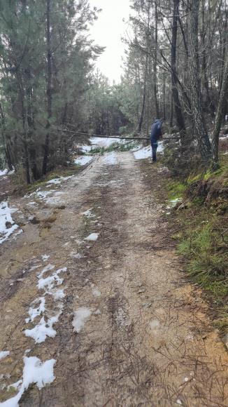 Depress&atilde;o Ingrid