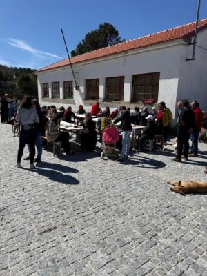 Domingo de Milhos em Vinha de Alhos no Pote