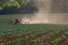 Agricultor e Trabalhador Qualificado da Agricultura e Produ&ccedil;&atilde;o Animal Combinadas, Orientados para o Mercado (M/F)